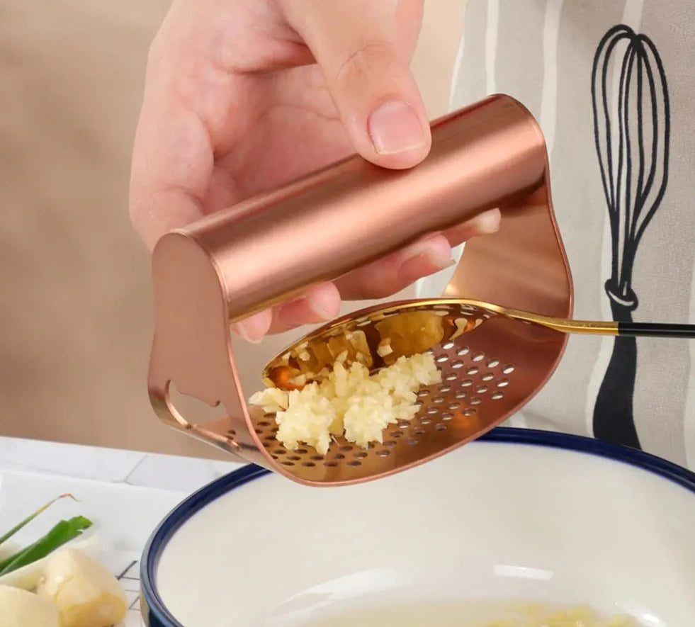 Stainless Steel Garlic Crusher